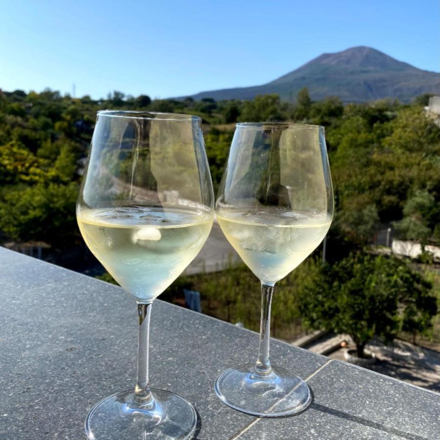 Villa Manzo Relais -Pompei Vesuvius Boscotrecase Екстер'єр фото