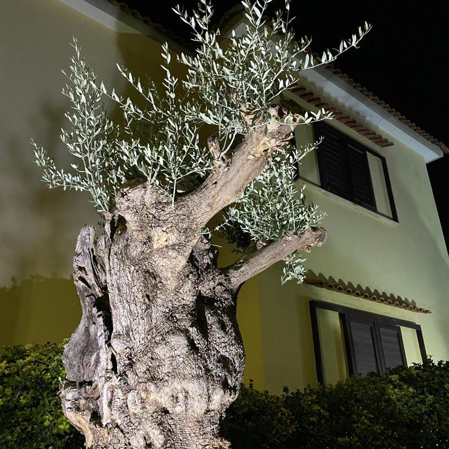 Villa Manzo Relais -Pompei Vesuvius Boscotrecase Екстер'єр фото